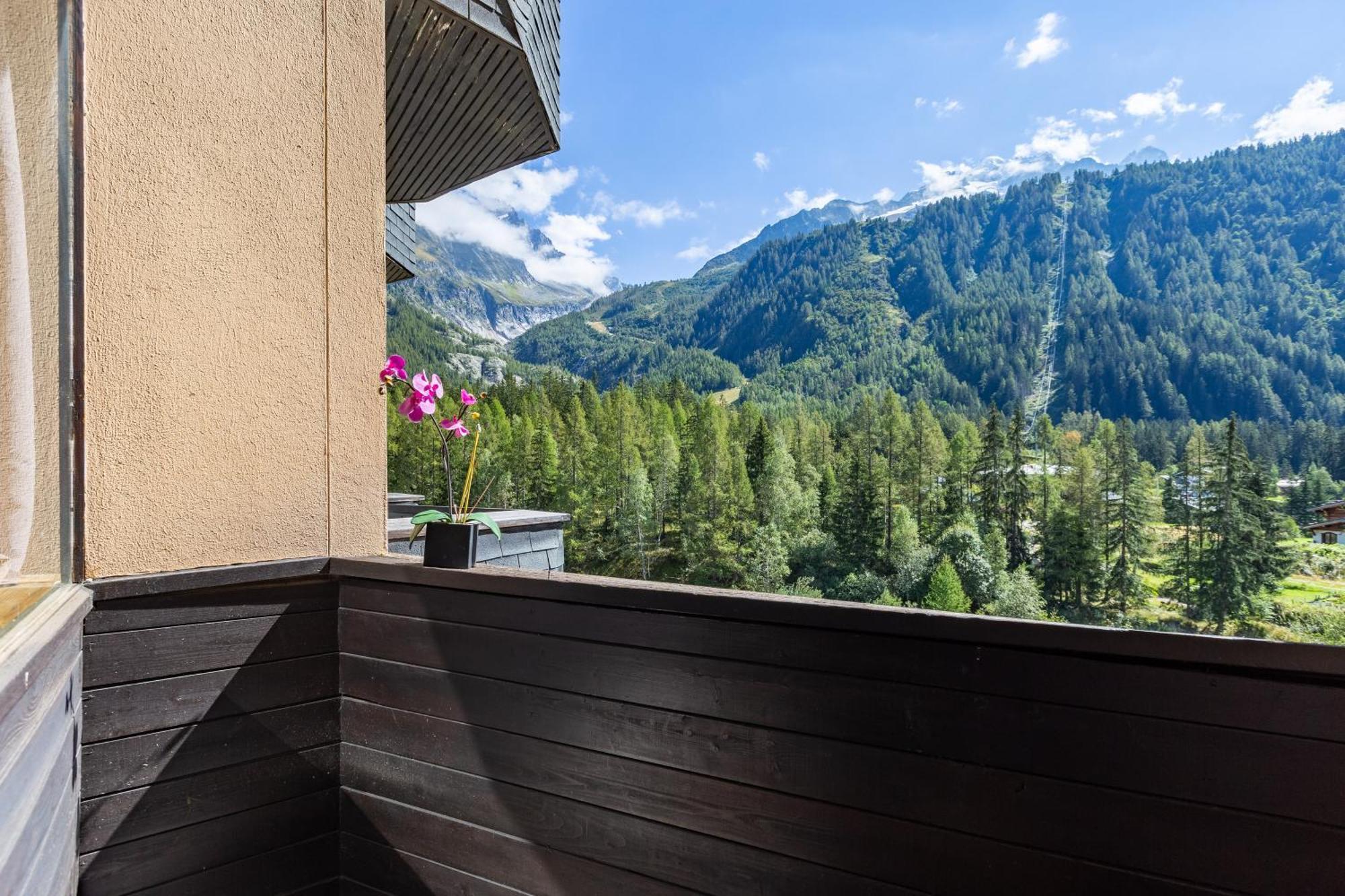 Residence Grand Roc - Campanules 314 Happy Rentals Chamonix Eksteriør bilde